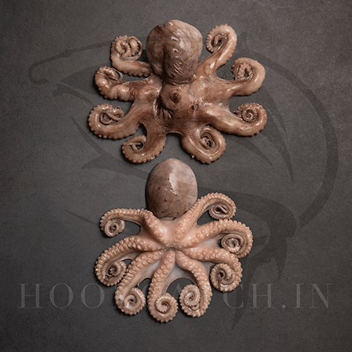 Octopus Whole 1280g